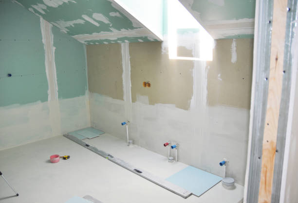 Best Mold-Related Health Consultation  in Tiptonville, TN