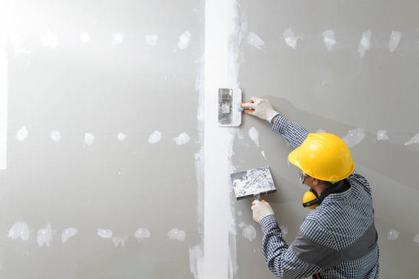 Best Asbestos and Lead Testing During Mold Inspection  in Tiptonville, TN