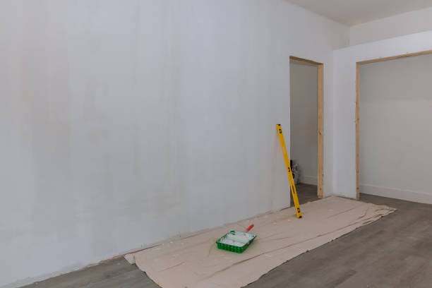 Tiptonville, TN Mold Removal Company