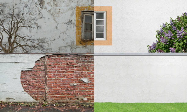Best Environmental Consulting for Mold Prevention  in Tiptonville, TN