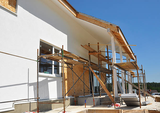Best Industrial Mold Remediation  in Tiptonville, TN