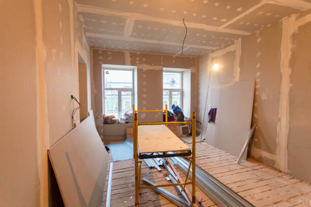 Best Mold Damage Restoration  in Tiptonville, TN